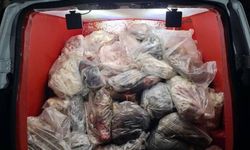 Çınar'da Menşei Belirsiz 820 kg Hayvansal Ürün Ele Geçirildi