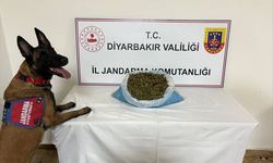 Diyarbakır'da 12 Yasa Dışı Madde Şüphelisine İşlem Yapıldı