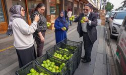Elmacı Dede Diyarbakır'da 1300 Kilo Elma Dağıttı
