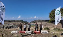 İslahiye'de Yüzlerce Kınalı Keklik Doğaya Salındı
