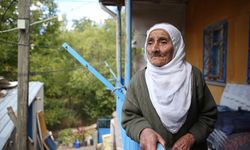 Kayseri'nin asırlık çınarları yaşa meydan okuyor
