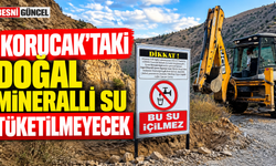 Adıyaman Korucak’taki doğal mineralli suya sağlık uyarısı