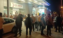 Birecik'te Trafik Kazası: 1 Ölü, 7 Yaralı