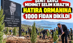Şehit Savcı Mehmet Selim Kiraz için 1000 fidan dikildi