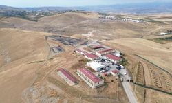 Siirt Valisi Kızılkaya, Sokak Hayvanları Bakım ve Rehabilitasyon Merkezi'ni ziyaret etti