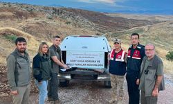 Siirt'te Kaçak Keklik Avcısına Para Cezası Uygulandı