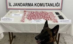 Siirt'te yolcu otobüsünde yasa dışı madde hap ele geçirildi