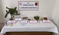 Şırnak'ta 3 tırda yasa dışı madde ve silah ele geçirildi