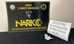 Şırnak'ta Operasyonlarda 29 Şüpheli Hakkında Adli İşlem