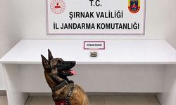 Şırnak'ta Operasyonlarda 3 Şüpheli Hakkında İşlem Yapıldı