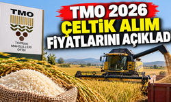 TMO 2026 Çeltik Alım Fiyatlarını Açıkladı