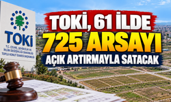 TOKİ 61 İlde 725 Arsayı Açık Artırmayla Satacak