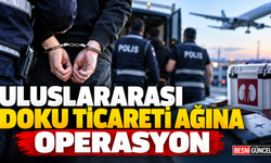 Uluslararası Doku Ticareti Ağına Operasyon