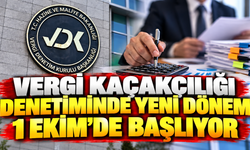 Vergi denetiminde yeni ihtisas daireleri faaliyete geçiyor