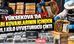 Uyuşturucuyu Arı Kovanlarına Gizlediler, 3 Şüpheli Yakalandı