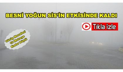 Besni Yoğun Sis'in Etkisinde Kaldı