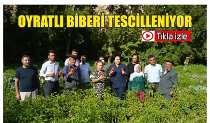 Oyratlı Biberi Tescilleniyor