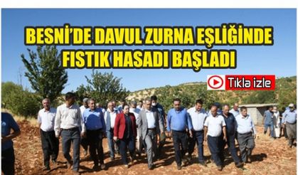 Besni'de Davul - Zurna Eşliğinde Fıstık Hasadı Başladı