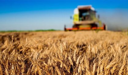Tarım Sigortalarında 2024 'deki Riskler, Ürünler Ve Destekler Belirlendi