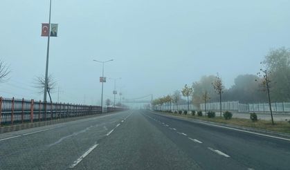 Diyarbakır’da hava ve kara trafiğinde ‘sis’ etkisi