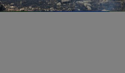 Aydın'da ziraat alanı ve makilikteki yangına müdahale ediliyor