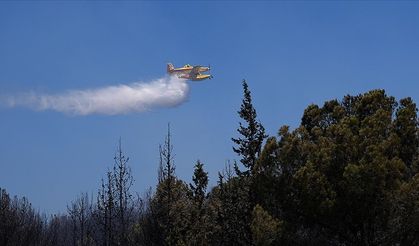 Orman yangınlarıyla ilgili 17 şüpheli gözaltına alındı