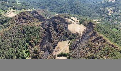 Orman yangınında 35 hektarlık alan zarar gördü