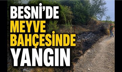 Besni'de Elektrik Tellerinden Çıktığı İddia Edilen Yangın