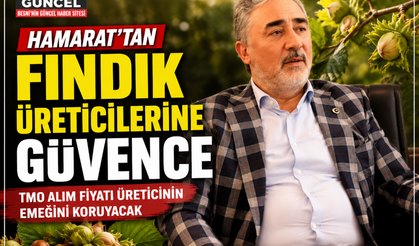 Hamarat'tan Fındık Üreticilerine Destek Sözü