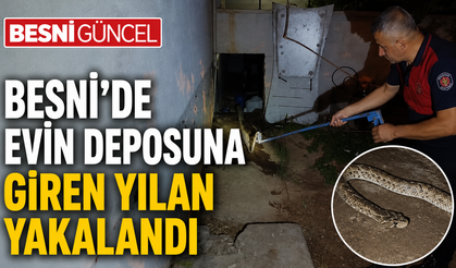 Besni’de evin deposuna giren yılan yakalandı