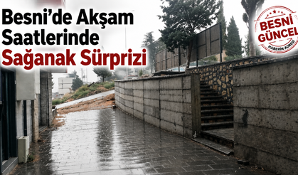 Besni’de Yağış ve Fırtına Etkili Oldu - VİDEOLU HABER
