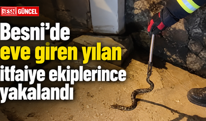Besni’de Korkutan Yılan İtfaiye Ekiplerince Yakalandı