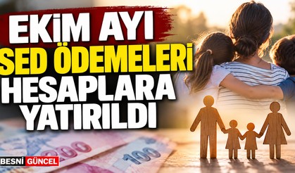 SED Ödemeleri Ekim Ayında Ailelere Ulaştı