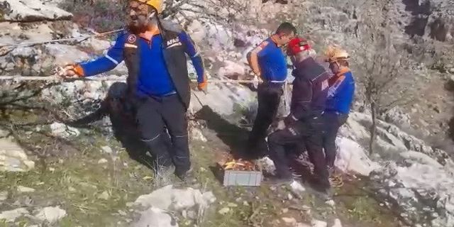 Besni'de Mahsur Kalan Keçileri AFAD Kurtardı