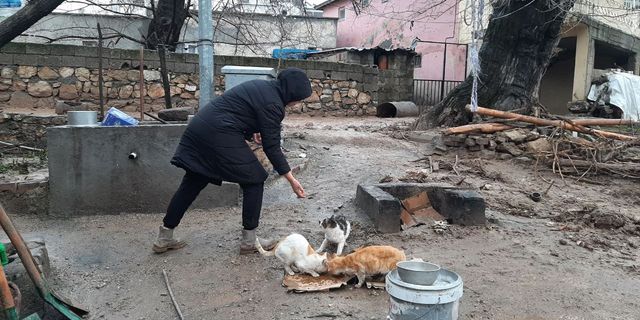 Depremden sonra sel vurdu ama o sokak kedilerini ihmal etmedi
