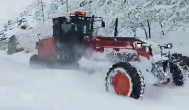 Siirt’te kar nedeniyle kapanan yollar ulaşıma açıldı
