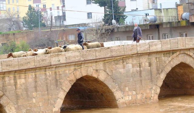 Yağışla birlikte tarihi Dunaysır Köprüsü’nün debisi yükseldi