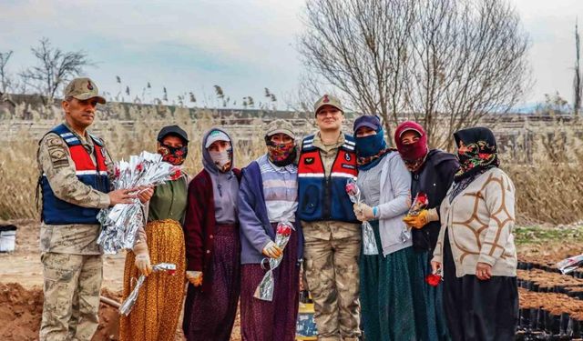 Jandarma kadınlara karanfil dağıtarak günlerini kutladı