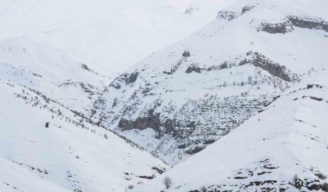 Şırnak’ta kar altında kalan Tanin Tanin Dağları havadan görüntülendi