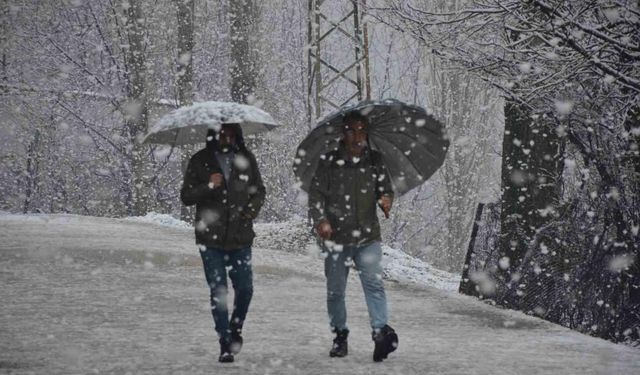 Şırnak'ta Lapa lapa kar yağmaya başladı