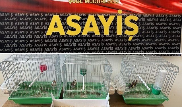 Satışı yasak hayvanları pazarlayan şahsa 19 bin 200 lira ceza