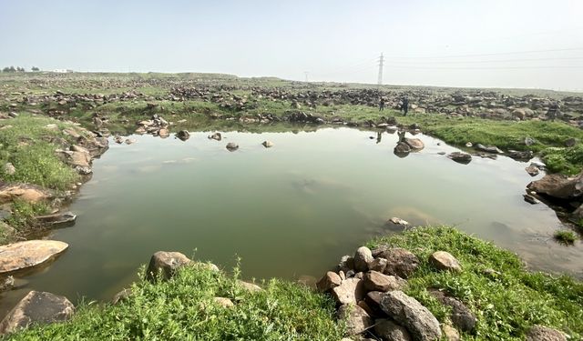 Şanlıurfa'da gölete giren 2 çocuk boğulma tehlikesi geçirdi
