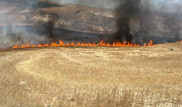 Besni’de 90 Dönüm Buğday tarlası Küle döndü