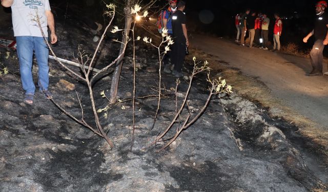 Adıyaman'da çıkan yangın evlere sıçramadan söndürüldü