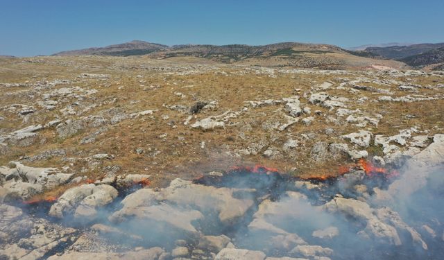 Adıyaman'daki orman yangını büyümeden söndürüldü