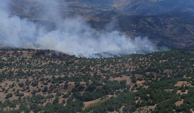 Adıyaman'da çıkan yangınını söndürme çalışmaları sürüyor