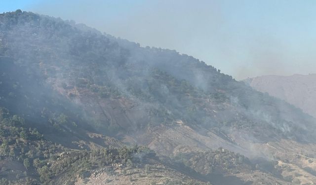 Adıyaman'da çıkan örtü yangınları kontrol altına alındı