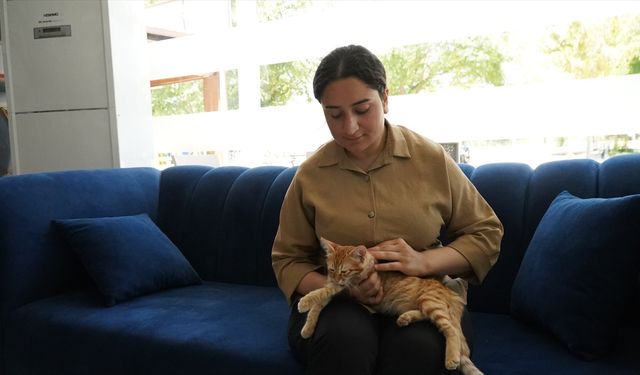 Anne, yavru kedileri öldüren sahipsiz köpeklerden şikayetçi