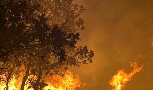 Adıyaman’daki orman yangını devam ediyor