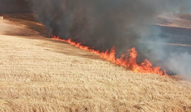 Besni'de yangında 2 bin dönüm tarım arazisi zarar gördü